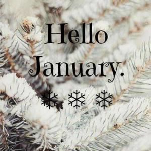 Meet your Posher, Bella